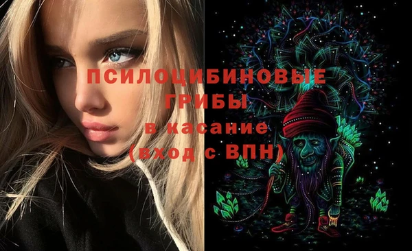 крисы Алзамай