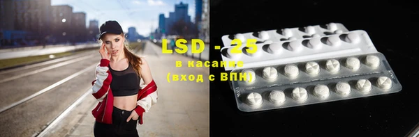 крисы Алзамай