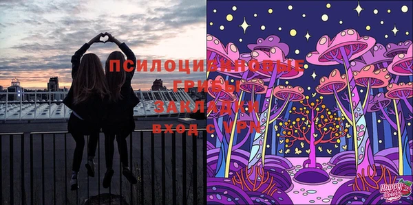 Альфа ПВП Алексин